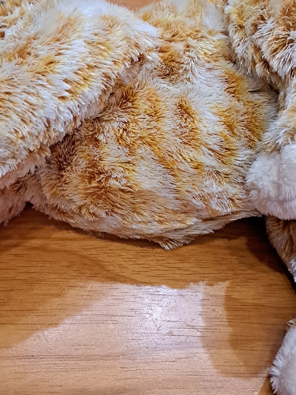 🔥SPECIAL ITEM! Ty Cobbler Cat Plush - Picture 7 of 10